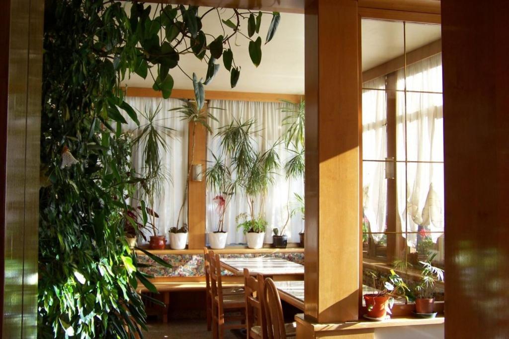 Hotel Brustolon Dont Kültér fotó